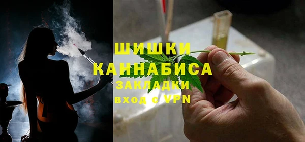 не бодяженный Гусев