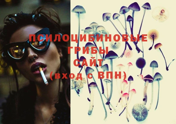 ECSTASY Гусиноозёрск