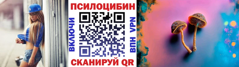 закладка  Давлеканово  Псилоцибиновые грибы GOLDEN TEACHER 